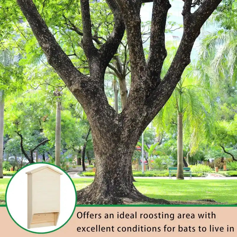 Offers an ideal roosting area for bats